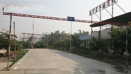 商丘东海驾校