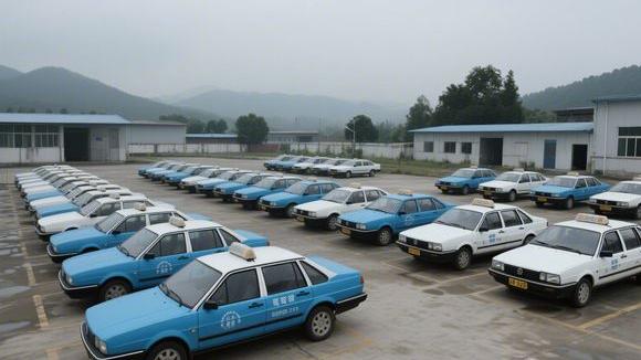 商水张明驾校
