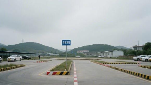 百色都安驾校